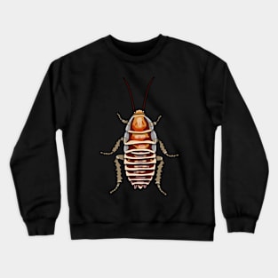 Cape Zebra cockroach (Temnopteryx phalerata) Crewneck Sweatshirt